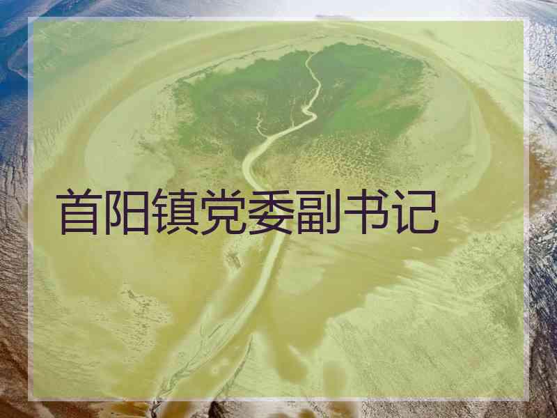 首阳镇党委副书记
