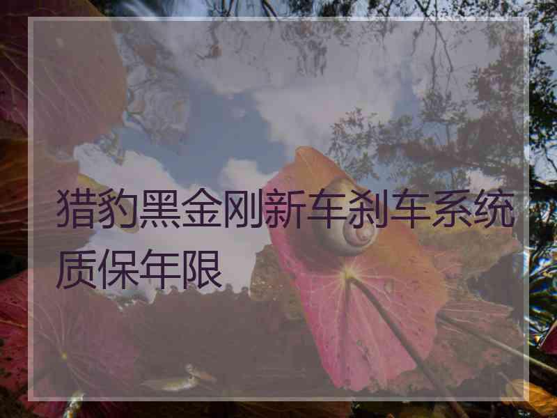 猎豹黑金刚新车刹车系统质保年限
