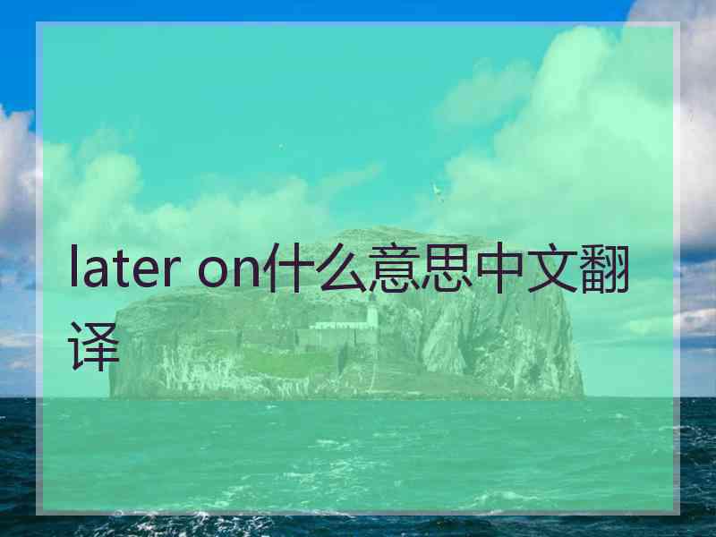 later on什么意思中文翻译