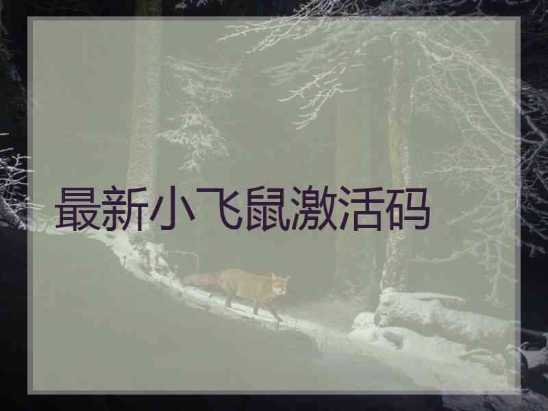 最新小飞鼠激活码