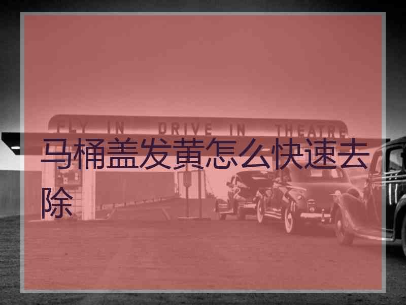 马桶盖发黄怎么快速去除