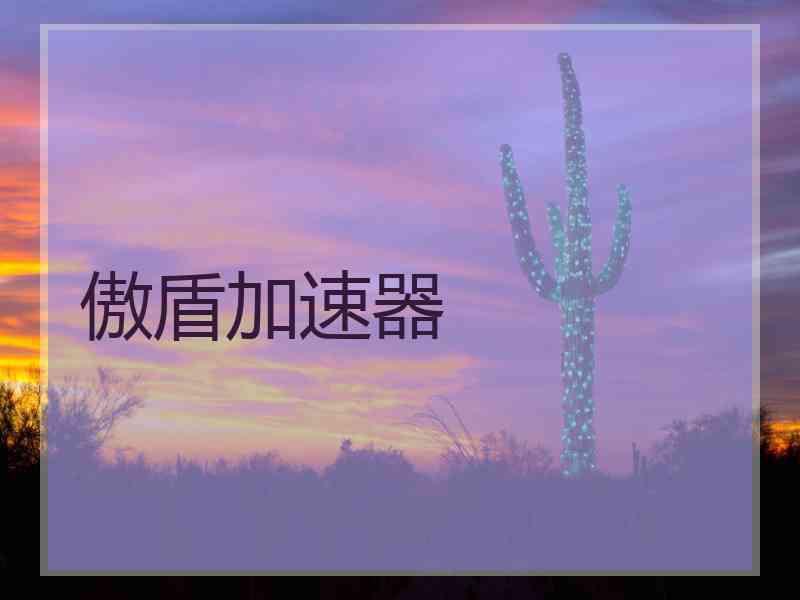 傲盾加速器
