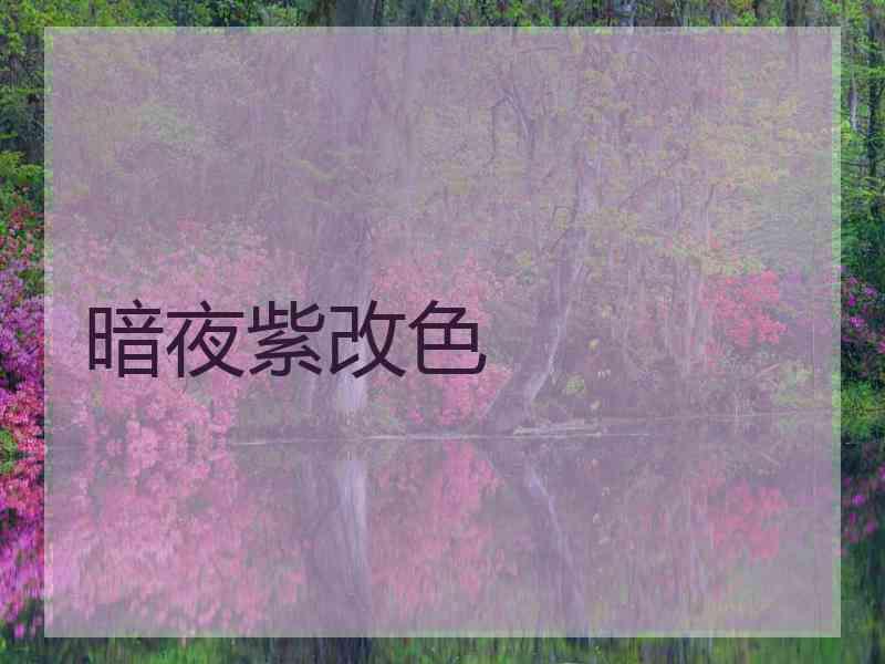 暗夜紫改色