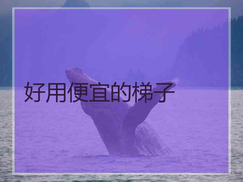 好用便宜的梯子