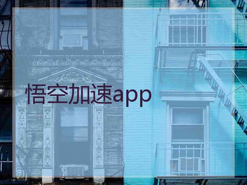 悟空加速app