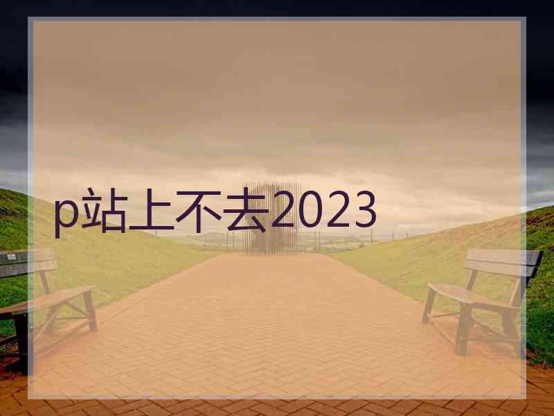 p站上不去2023
