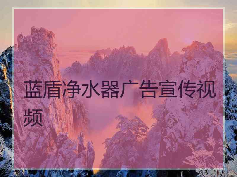 蓝盾净水器广告宣传视频