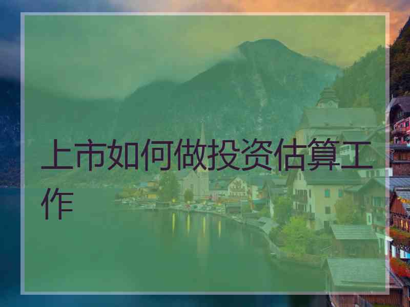 上市如何做投资估算工作