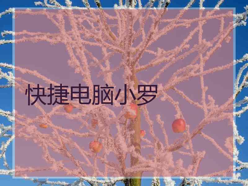 快捷电脑小罗