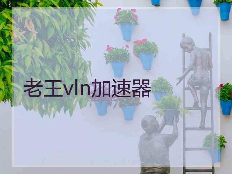 老王vln加速器