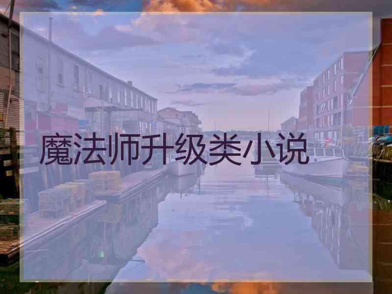 魔法师升级类小说