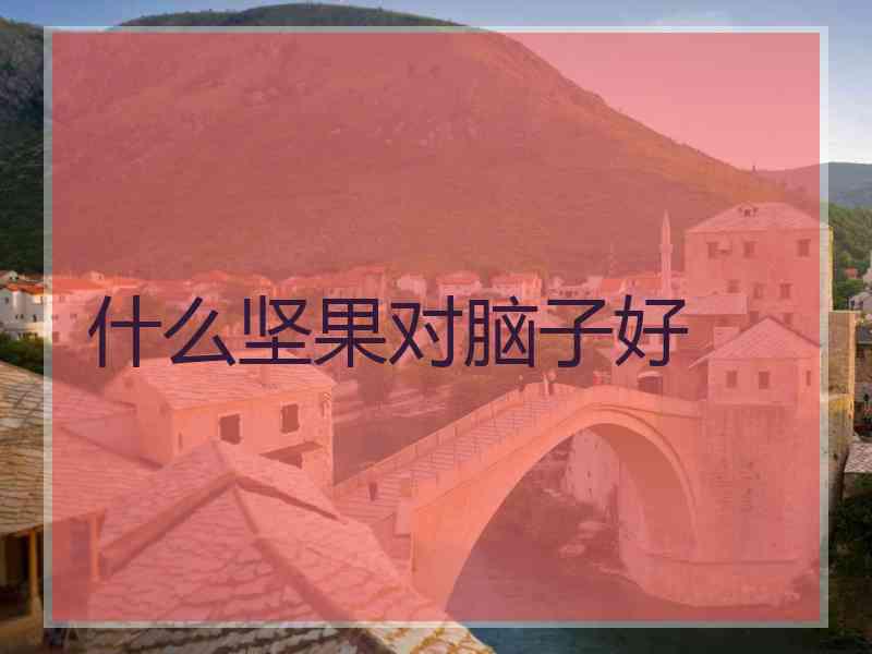 什么坚果对脑子好