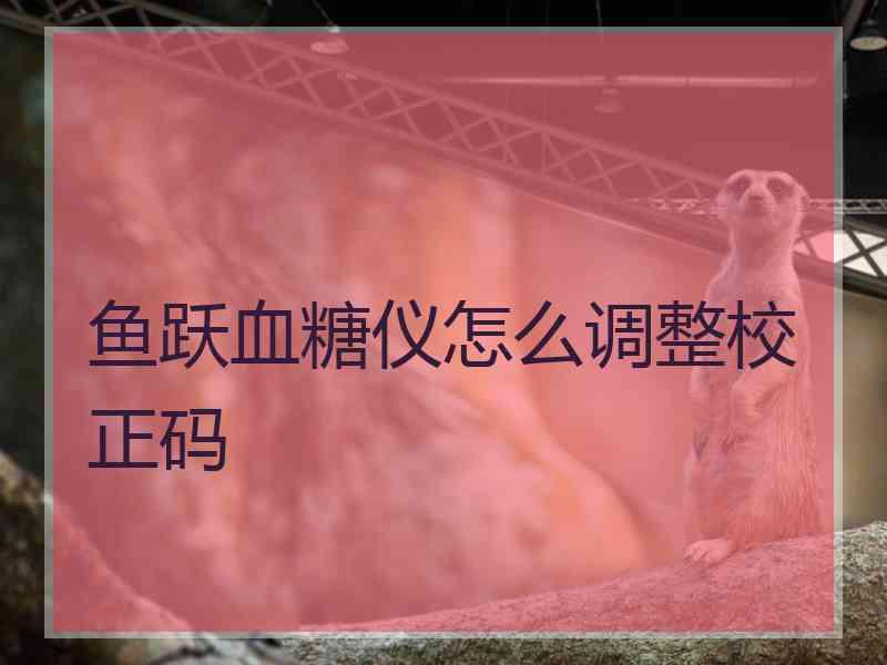 鱼跃血糖仪怎么调整校正码