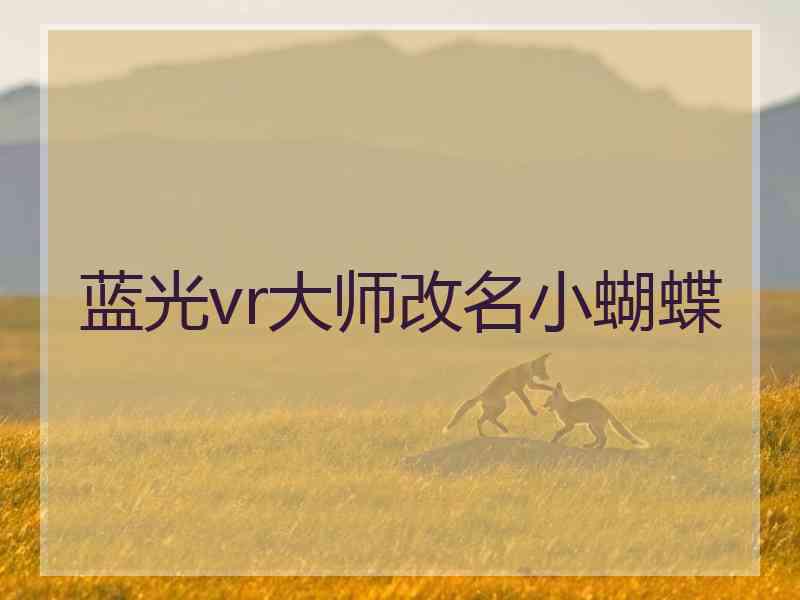 蓝光vr大师改名小蝴蝶