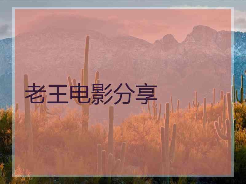 老王电影分享