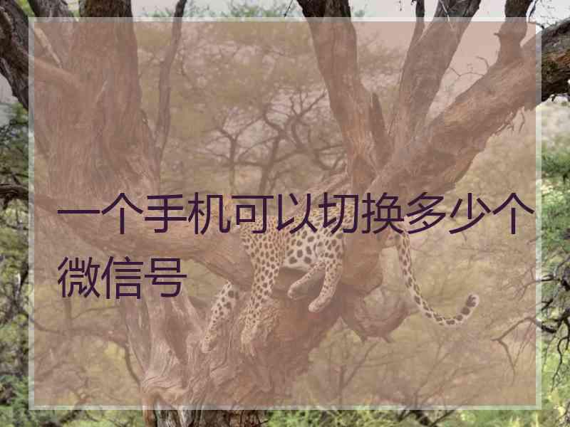 一个手机可以切换多少个微信号
