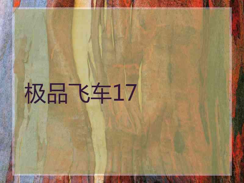 极品飞车17