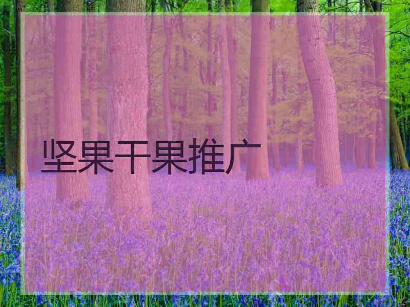 坚果干果推广