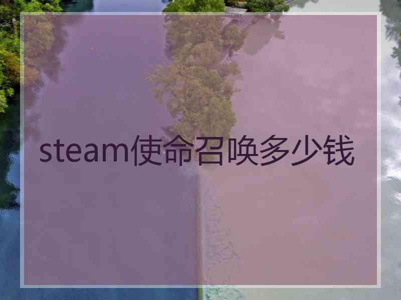 steam使命召唤多少钱