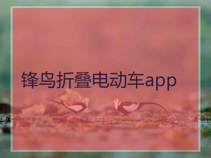 锋鸟折叠电动车app