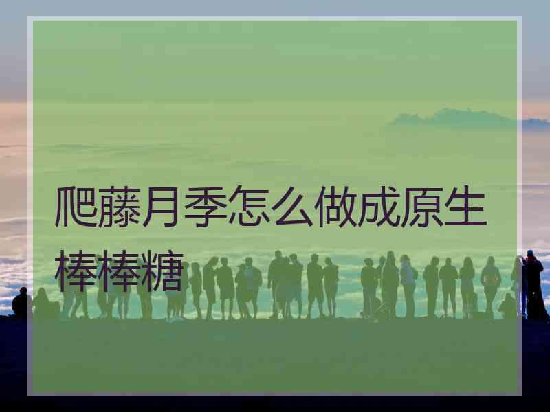 爬藤月季怎么做成原生棒棒糖