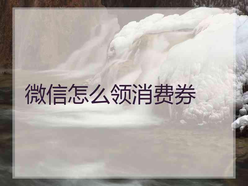 微信怎么领消费券