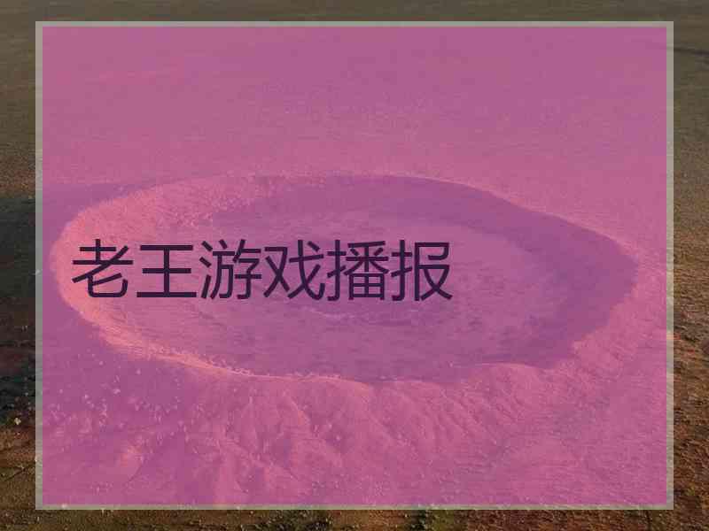 老王游戏播报