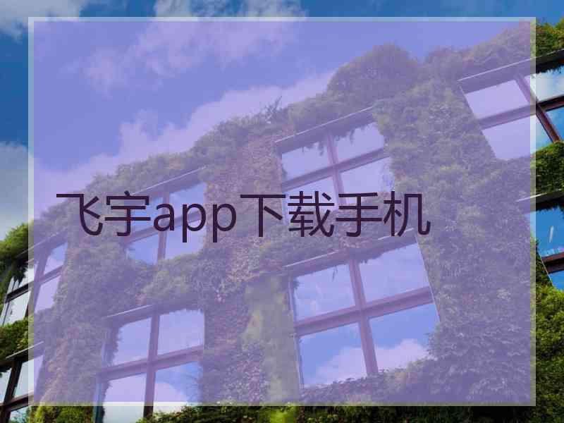 飞宇app下载手机