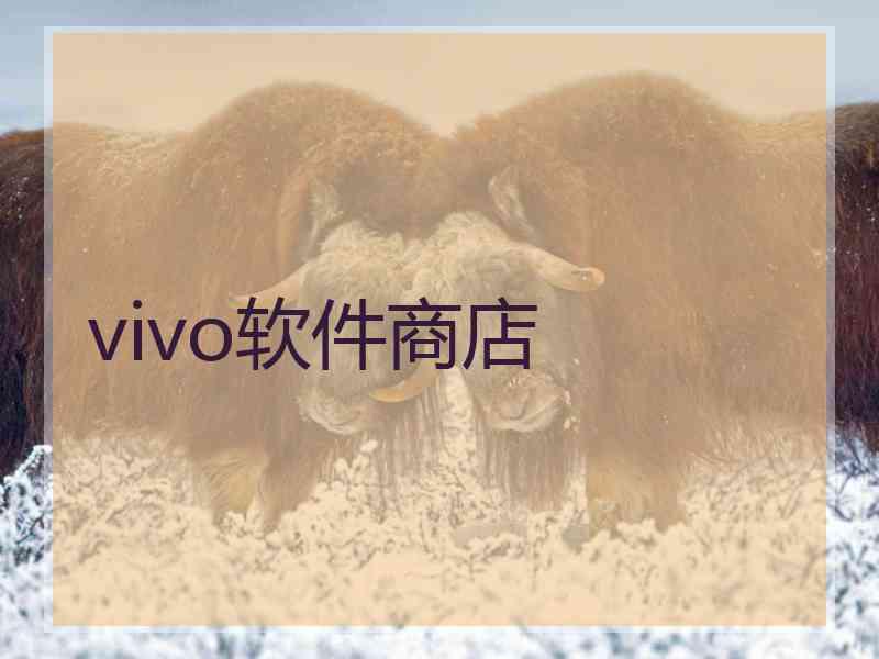 vivo软件商店