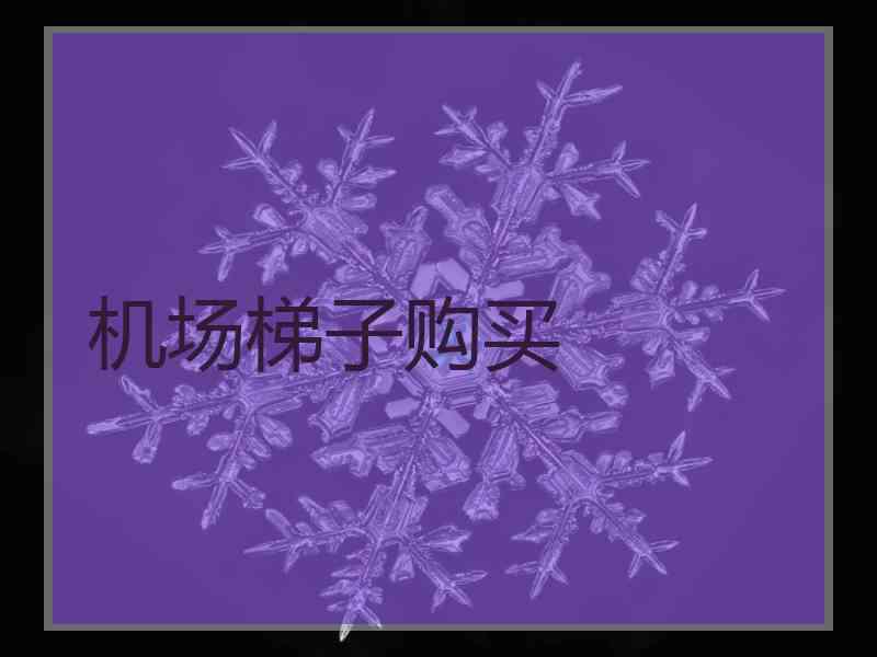 机场梯子购买