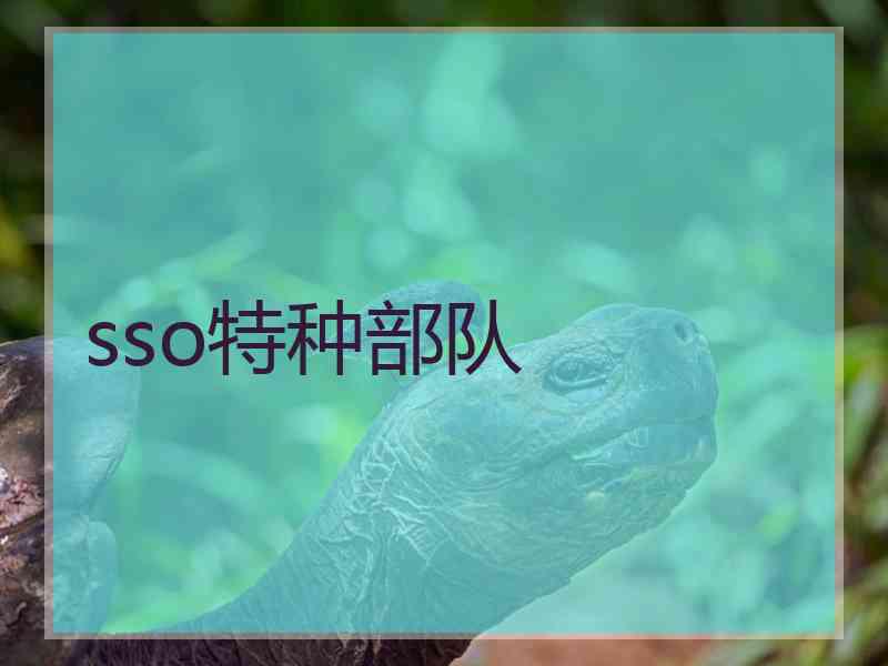 sso特种部队