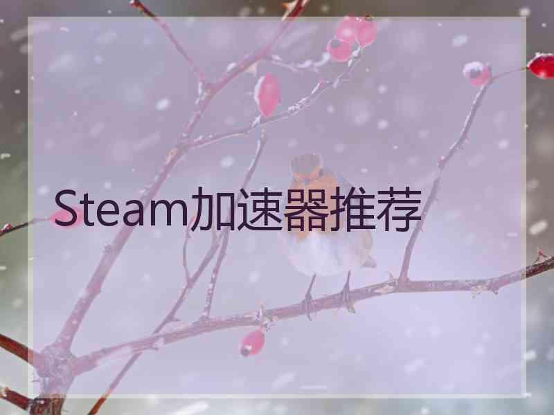 Steam加速器推荐