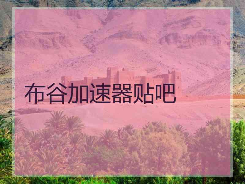 布谷加速器贴吧