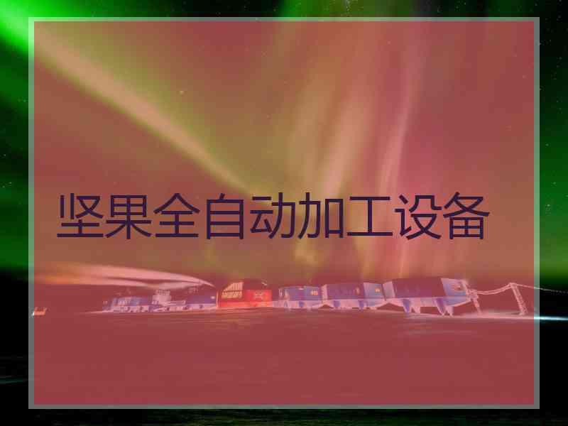 坚果全自动加工设备