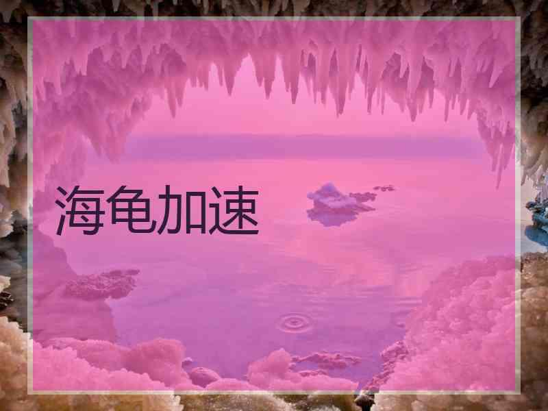 海龟加速
