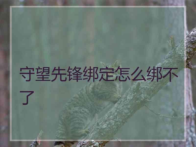 守望先锋绑定怎么绑不了