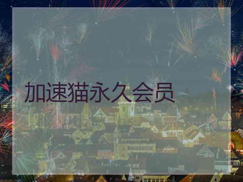 加速猫永久会员