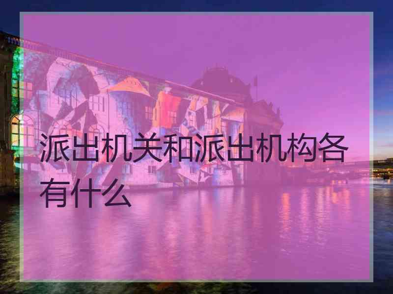 派出机关和派出机构各有什么