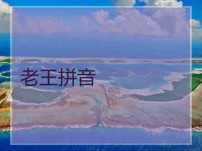 老王拼音