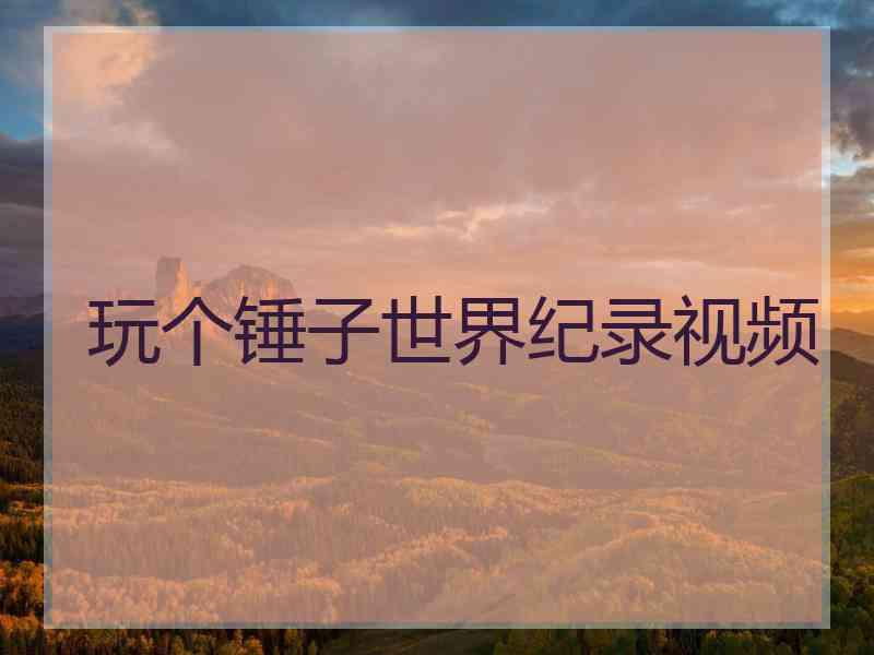 玩个锤子世界纪录视频