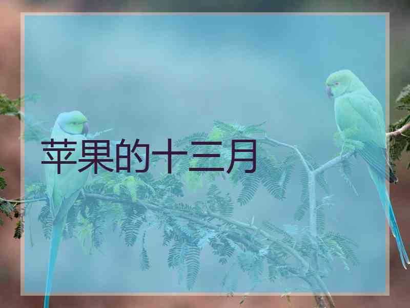苹果的十三月
