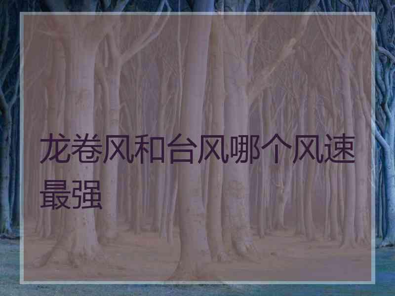龙卷风和台风哪个风速最强