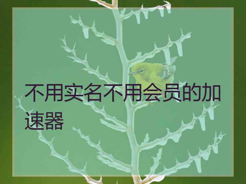 不用实名不用会员的加速器