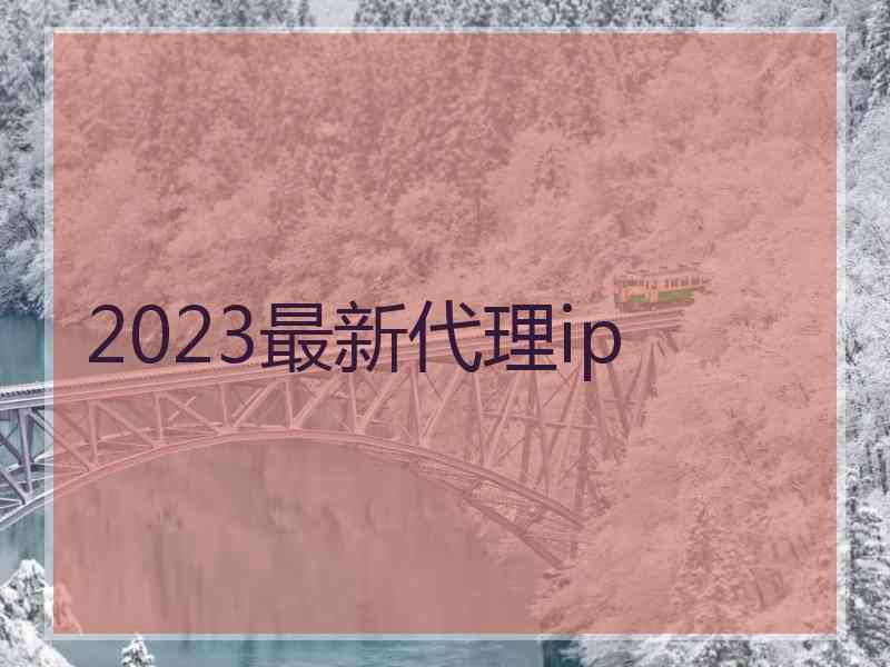 2023最新代理ip