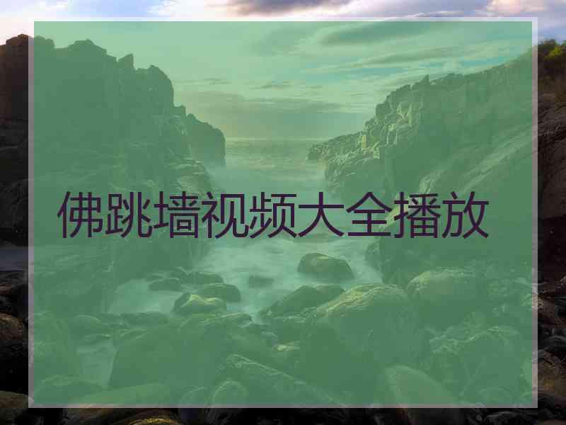 佛跳墙视频大全播放