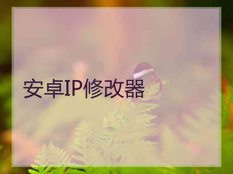 安卓IP修改器