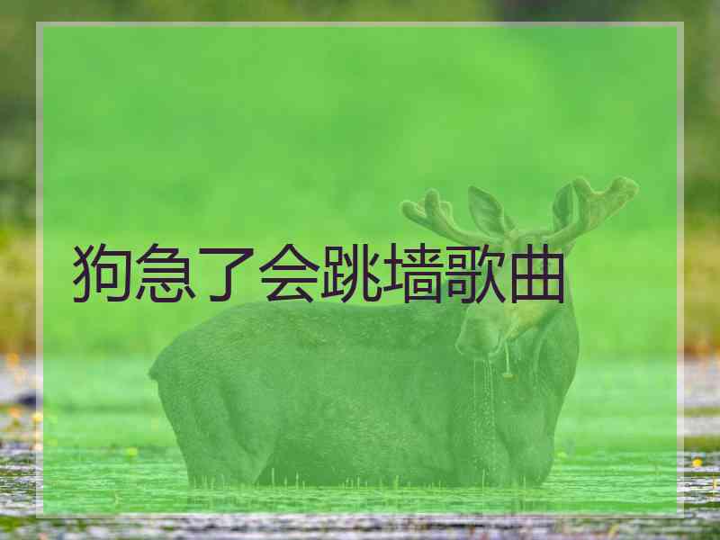 狗急了会跳墙歌曲