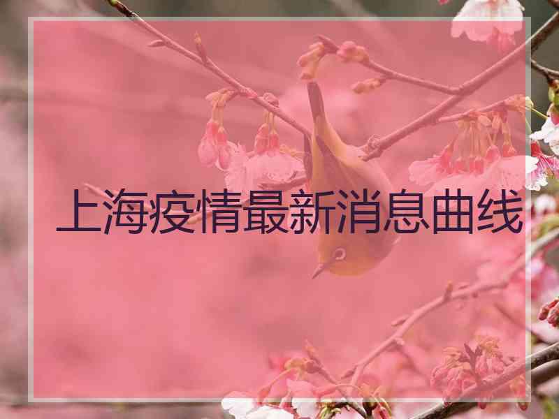 上海疫情最新消息曲线