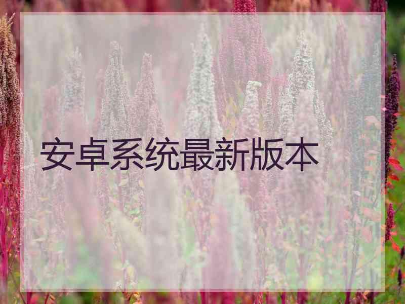 安卓系统最新版本