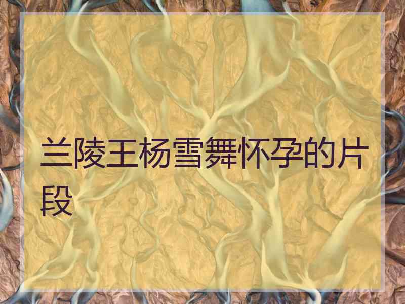 兰陵王杨雪舞怀孕的片段